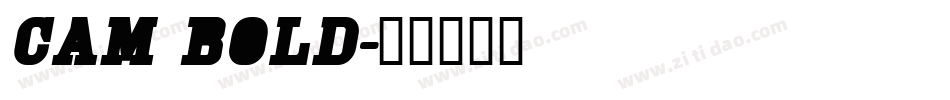 Cam Bold字体转换